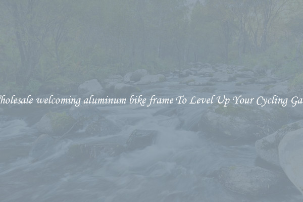 Wholesale welcoming aluminum bike frame To Level Up Your Cycling Game