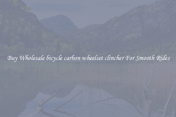 Buy Wholesale bicycle carbon wheelset clincher For Smooth Rides