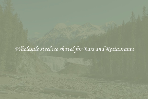 Wholesale steel ice shovel for Bars and Restaurants