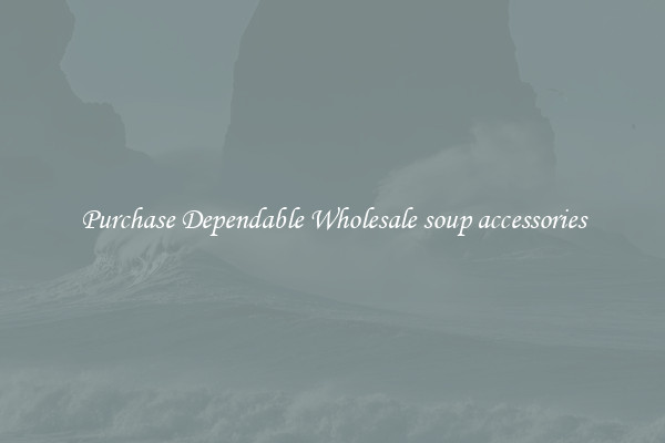 Purchase Dependable Wholesale soup accessories