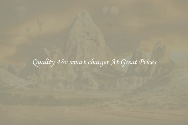 Quality 48v smart charger At Great Prices