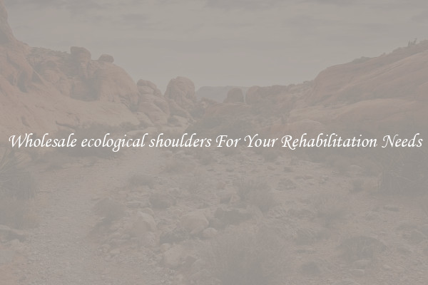 Wholesale ecological shoulders For Your Rehabilitation Needs