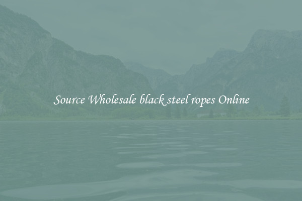 Source Wholesale black steel ropes Online