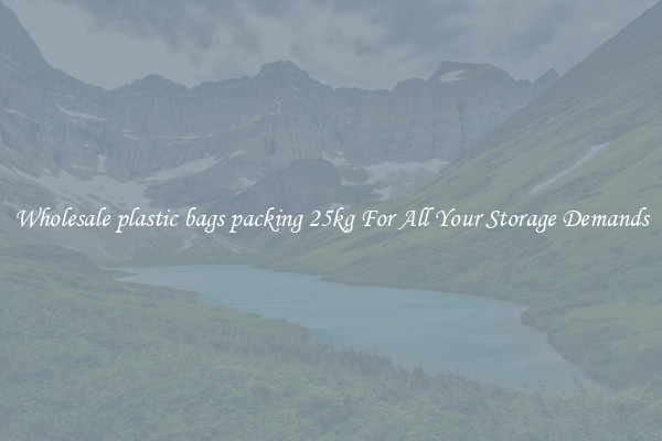 Wholesale plastic bags packing 25kg For All Your Storage Demands