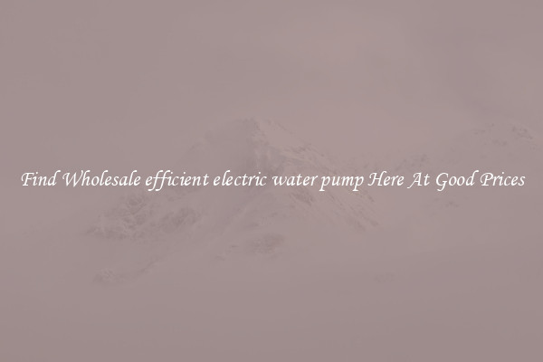 Find Wholesale efficient electric water pump Here At Good Prices