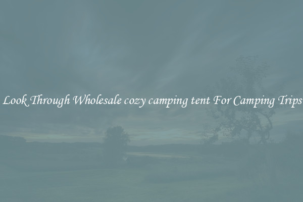 Look Through Wholesale cozy camping tent For Camping Trips