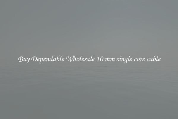 Buy Dependable Wholesale 10 mm single core cable